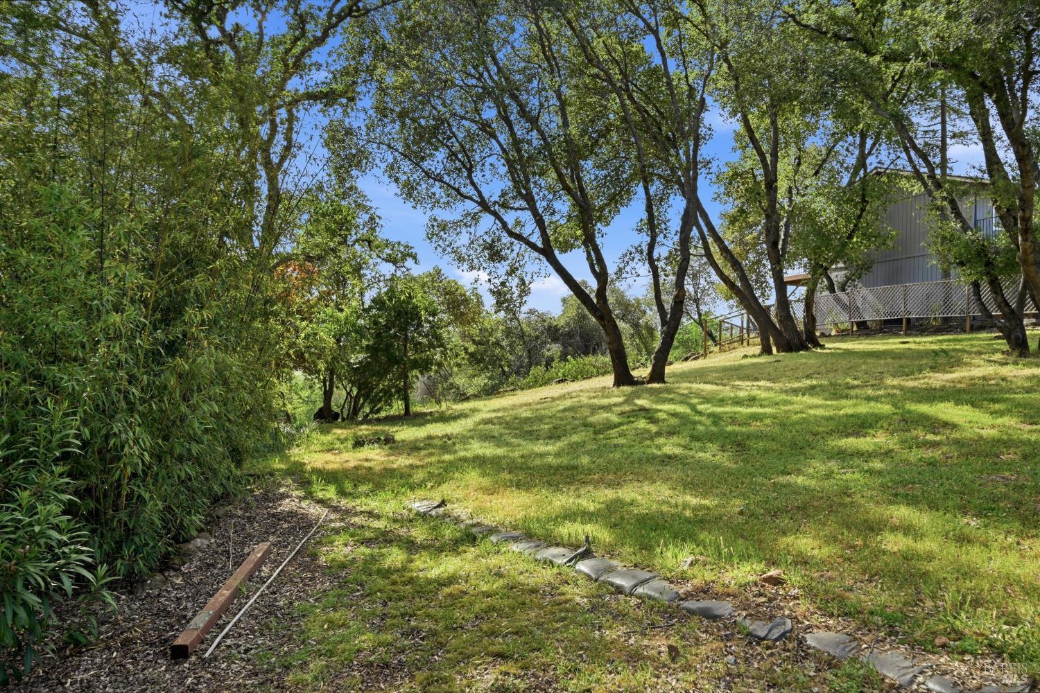 19897 Donkey Hill Road Hidden Valley Lake, CA 95467 - Photo 31 of 45 a view of a yard with a tree