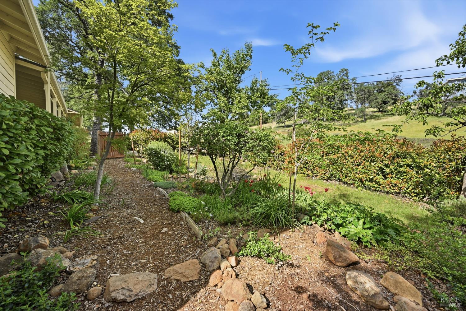 19897 Donkey Hill Road Hidden Valley Lake, CA 95467 - Photo 38 of 45 a view of a garden with plants