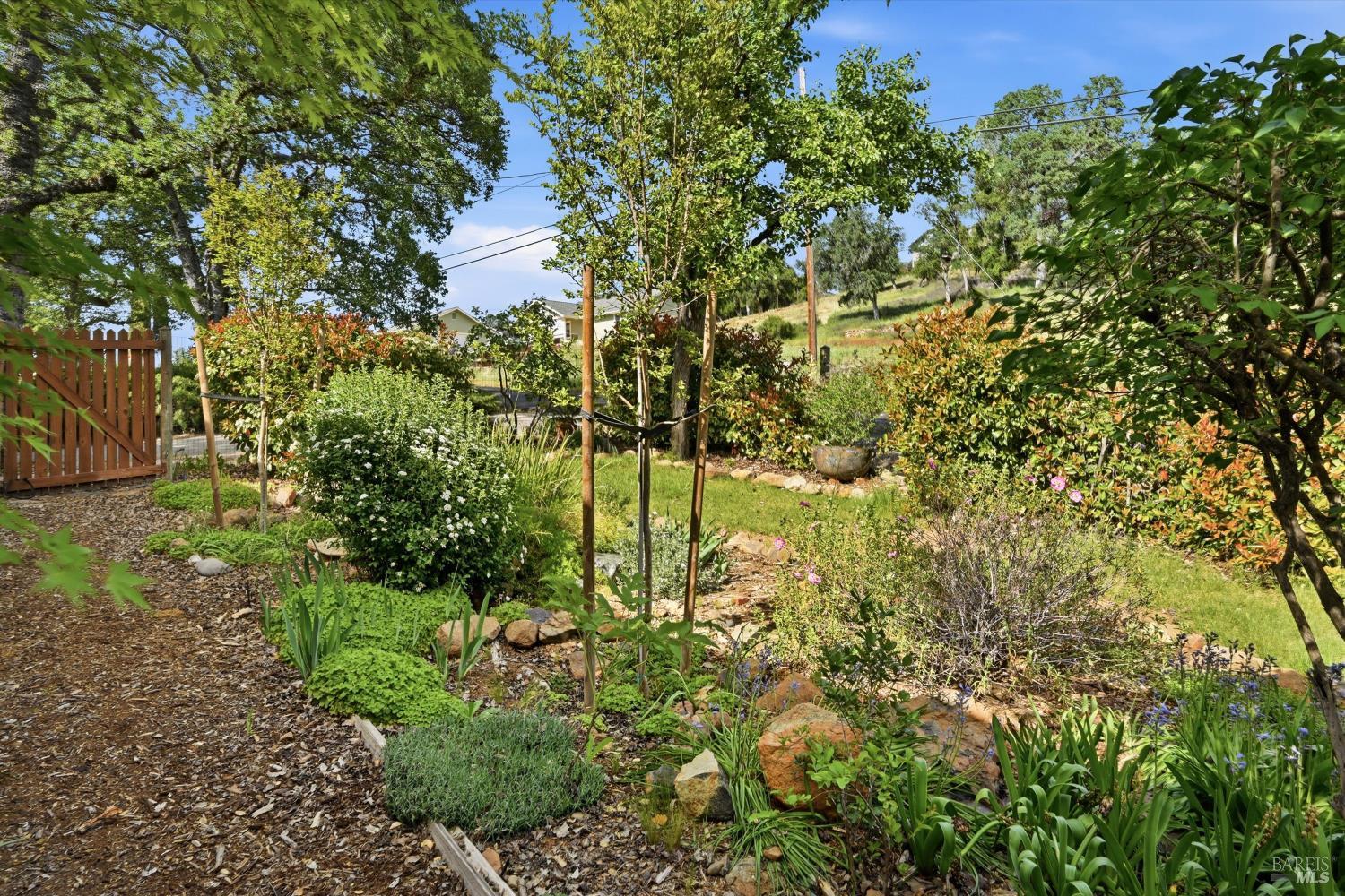 19897 Donkey Hill Road Hidden Valley Lake, CA 95467 - Photo 41 of 45 a view of a garden