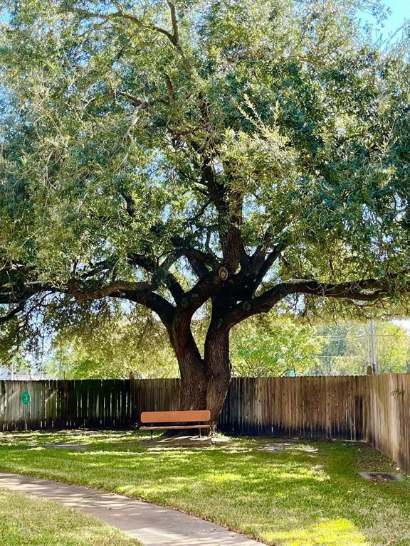 5801 Lumberdale Road, Unit 165 Houston, TX 77092 - Photo 11 of 32 a view of a yard