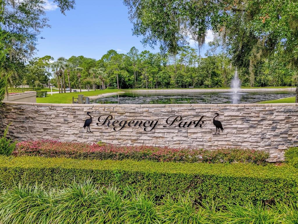 13607 Springtide Court Orlando, FL 32826 - Photo 29 of 32 a view of a yard with large trees