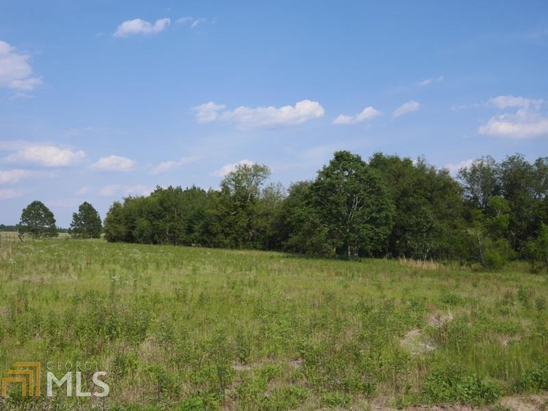 2910 Griffin Ferry Road Metter, GA 30439 - Photo 1 of 1 Gallery Image 1