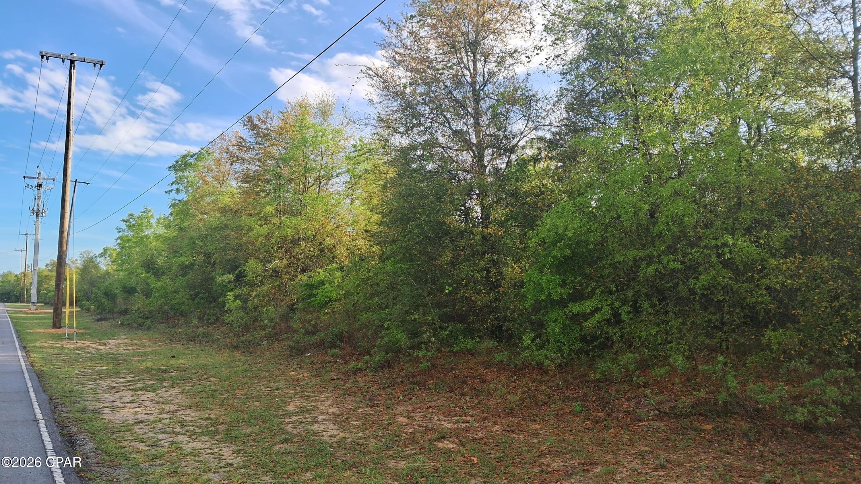 0 Deltona Boulevard Chipley, FL 32428 - Photo 3 of 8