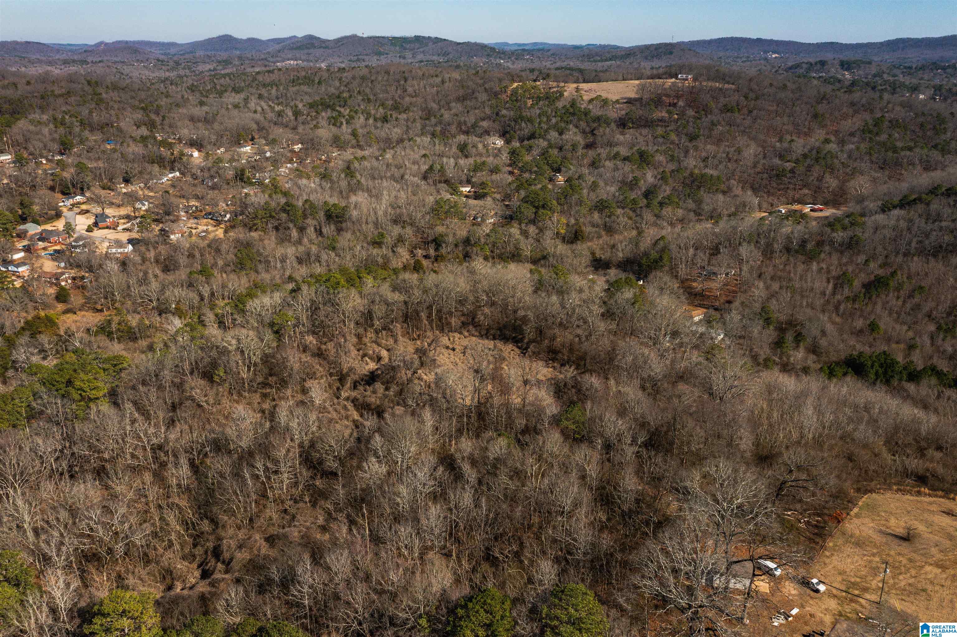 4392 Buzbee Road, Unit 1 Pinson, AL 35126 - Photo 10 of 27