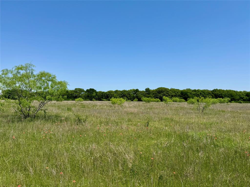 0 Clater Powell Road, Unit LOT 6 Waco, TX 76705 - Photo 3 of 6 a view of lake with green space