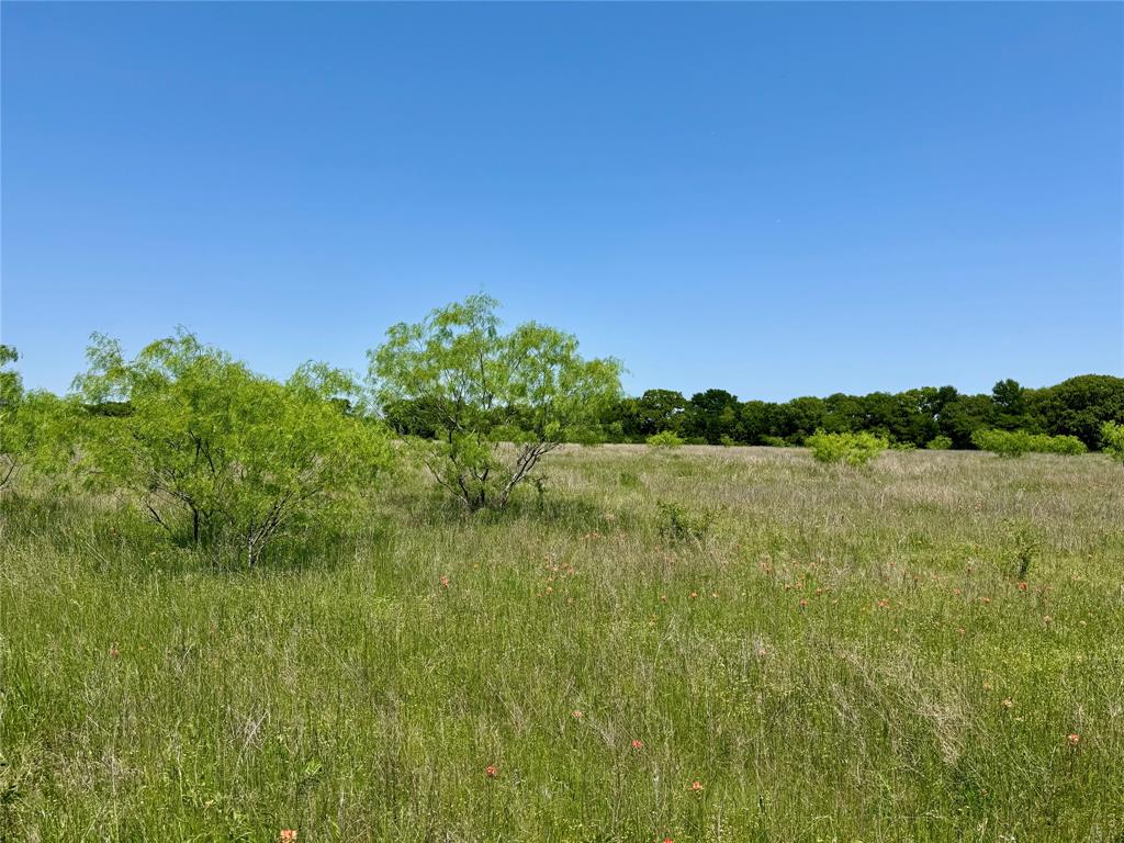 0 Clater Powell Road, Unit LOT 6 Waco, TX 76705 - Photo 4 of 6 a view of lake with green space