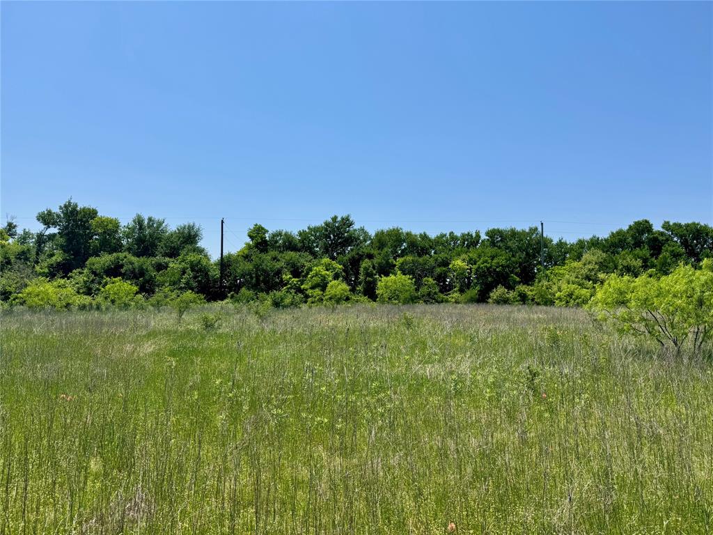 0 Clater Powell Road, Unit LOT 6 Waco, TX 76705 - Photo 5 of 6 a view of a lush green space