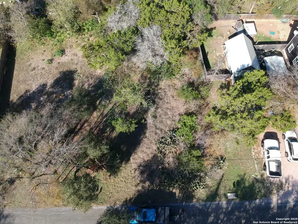 a view of a yard with plants and large trees
