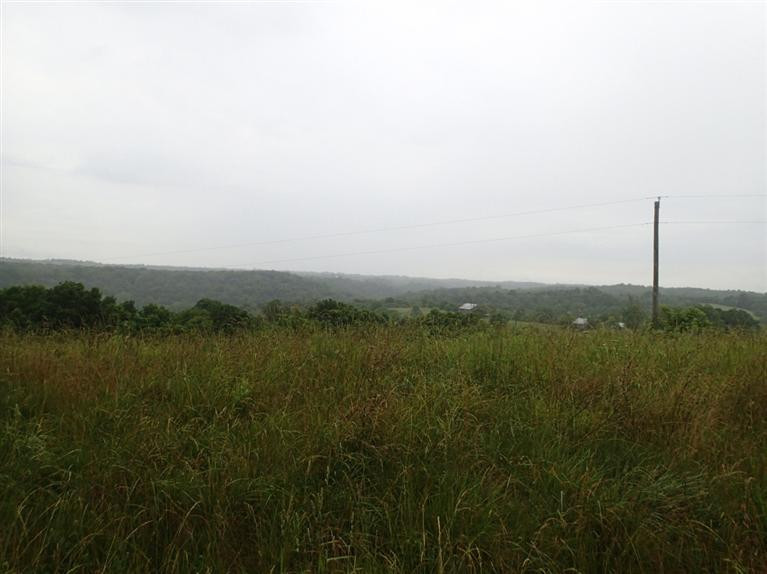 2472 Chaney Road Brooksville, KY 41004 - Photo 27 of 30 Gallery Image 27