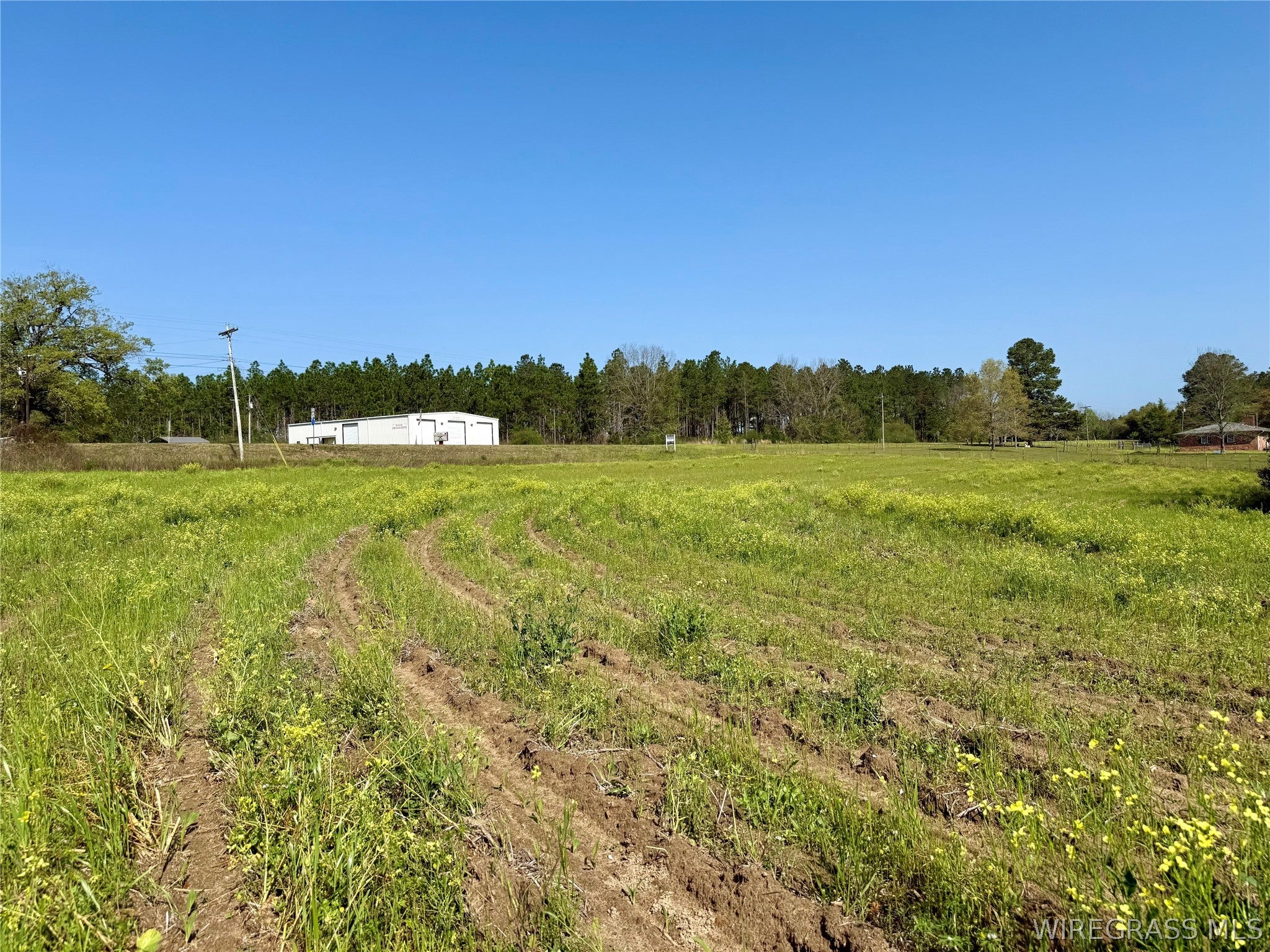 3-acres Red Oak Road Florala, AL 36442 - Photo 7 of 8 Gallery Image 7