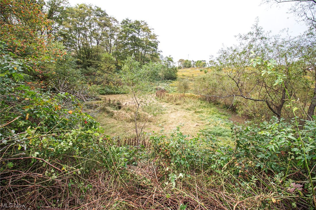 0 Couch Road Jewett, OH 43986 - Photo 17 of 34 View of local wilderness