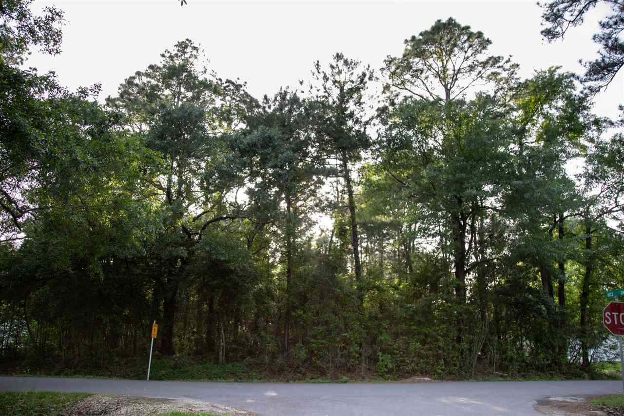 0 Chestnut Street Lumberton, TX 77657 - Photo 1 of 1