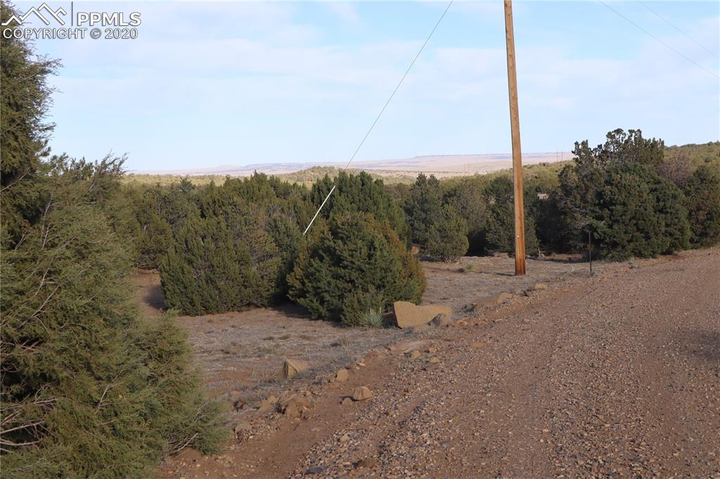 Lot 120 Bear Ridge Road Walsenburg, CO 81089 - Photo 13 of 38 a view of a dry yard with trees