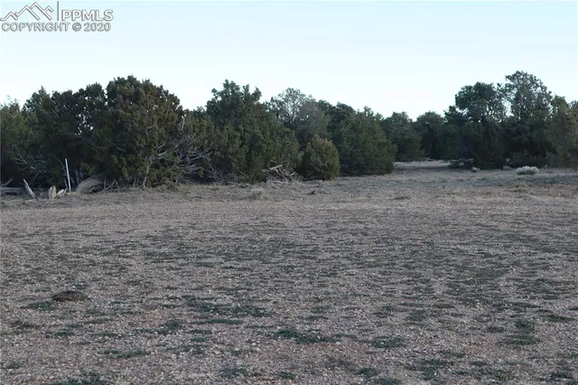 a view of a dry yard with trees in the background