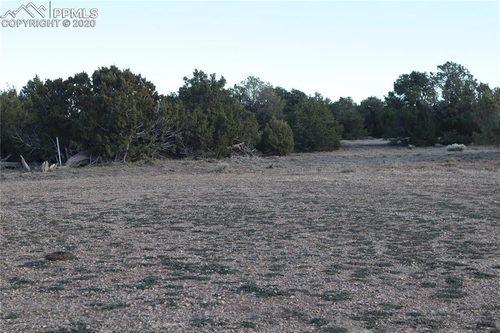 Lot 120 Bear Ridge Road Walsenburg, CO 81089 - Photo 19 of 38 a view of outdoor space with green field and trees