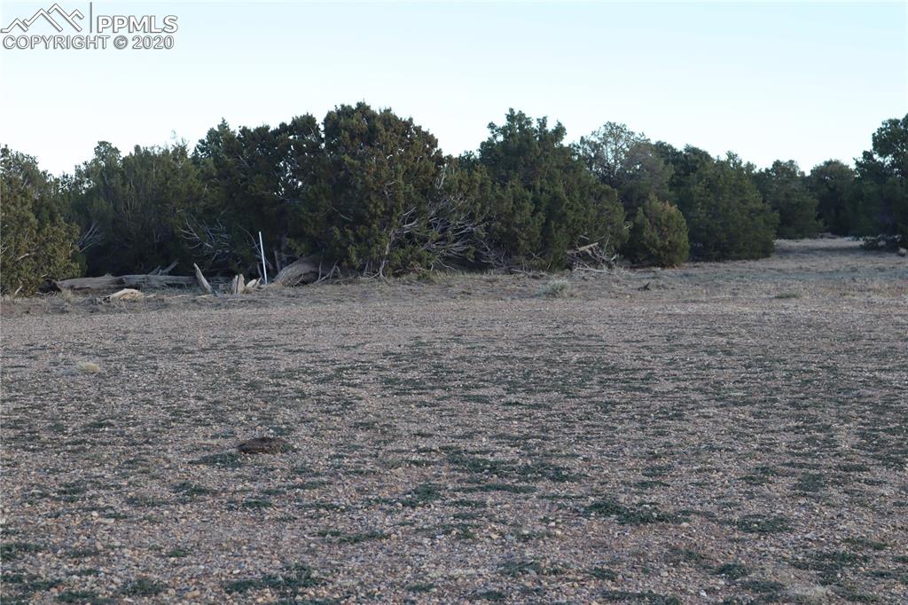 Lot 120 Bear Ridge Road Walsenburg, CO 81089 - Photo 20 of 38 a view of a dry yard with trees in the background