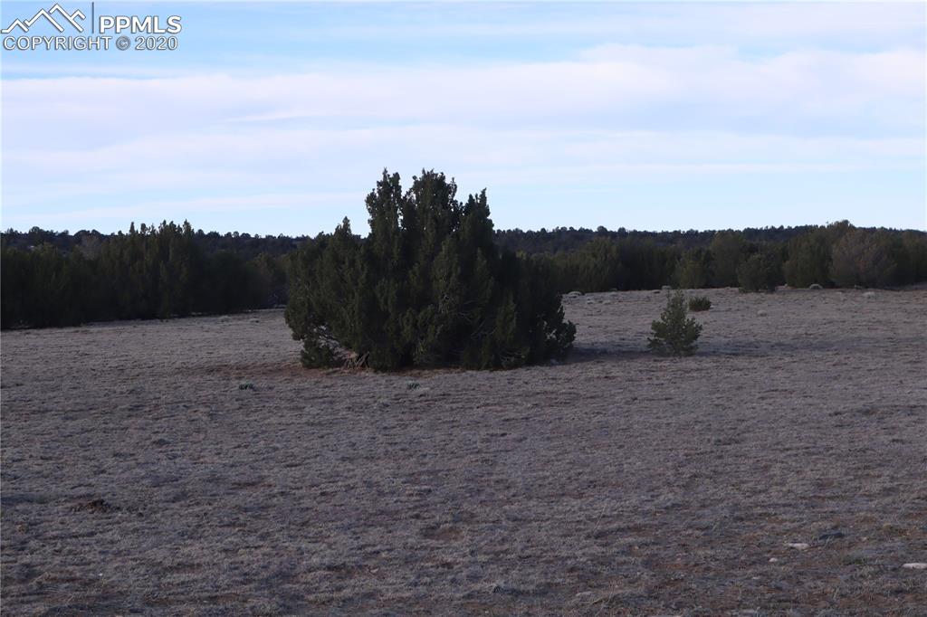 Lot 120 Bear Ridge Road Walsenburg, CO 81089 - Photo 22 of 38