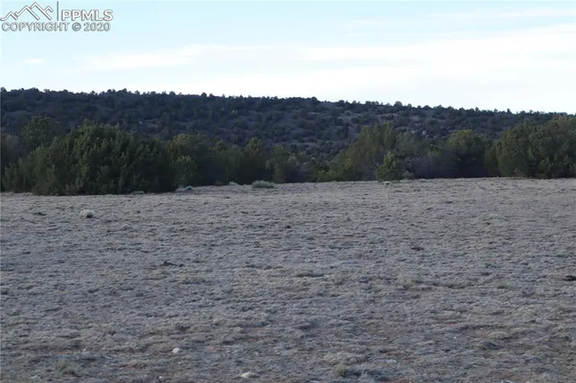 a view of a dry yard with mountain view