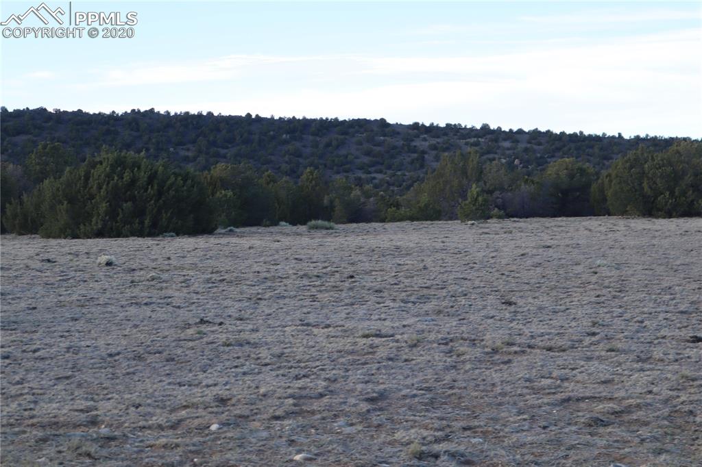 Lot 120 Bear Ridge Road Walsenburg, CO 81089 - Photo 23 of 38