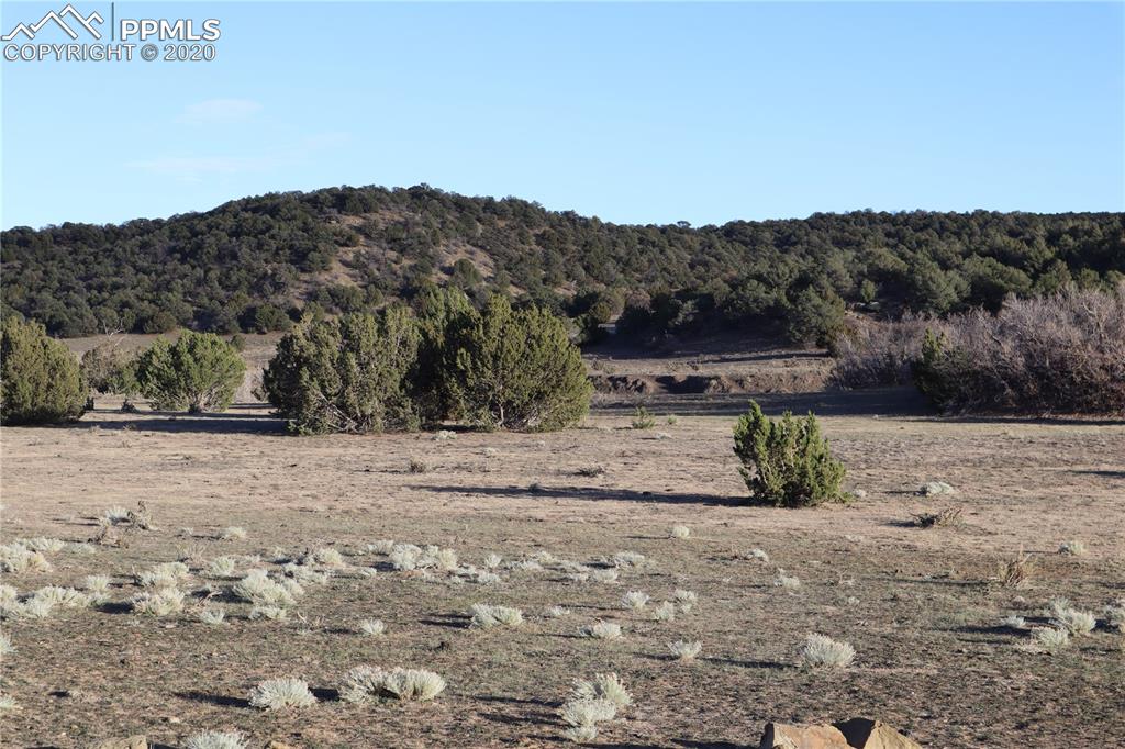 Lot 120 Bear Ridge Road Walsenburg, CO 81089 - Photo 26 of 38 a view of a dry yard with mountain view