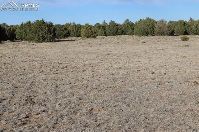 a view of a yard with a snow