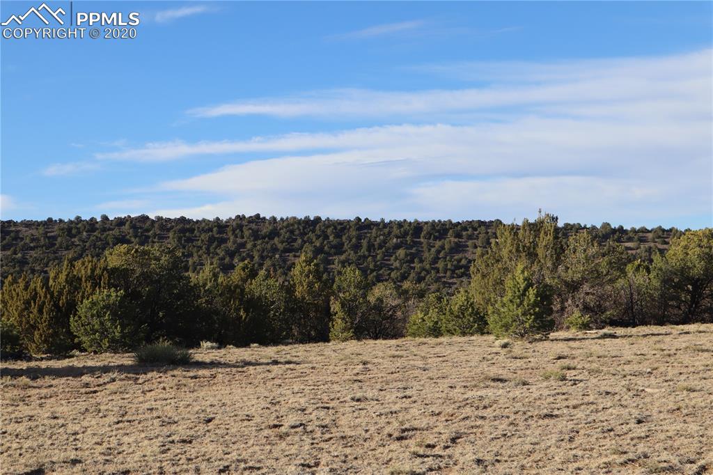 Lot 120 Bear Ridge Road Walsenburg, CO 81089 - Photo 7 of 38 a view of a yard with a snow