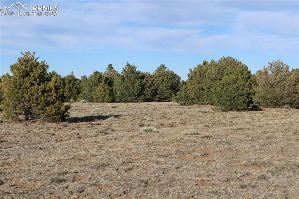Lot 120 Bear Ridge Road Walsenburg, CO 81089 - Photo 10 of 38 a view of a dry yard with trees in the background