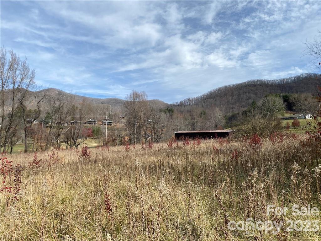 Tbd Cherokee Trail Canton, NC 28716 - Photo 12 of 12 a view of a dry yard with green space