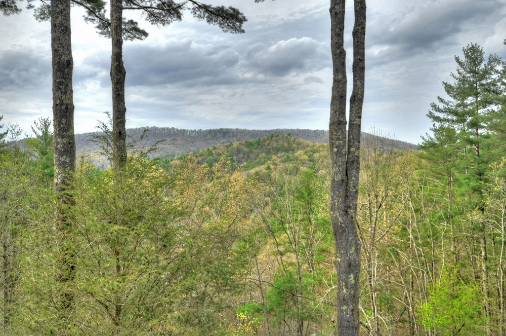 464 Bell Camp Ridge Road Blue Ridge, GA 30513 - Photo 18 of 48 Gallery Image 18