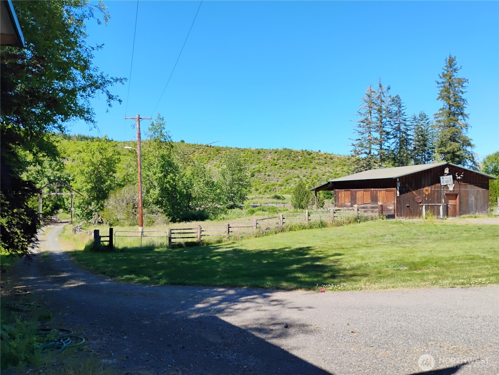 307 Lost Valley Road Curtis, WA 98538 - Photo 6 of 27 a view of a big yard with potted plants and large tree