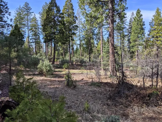 a view of backyard with green space