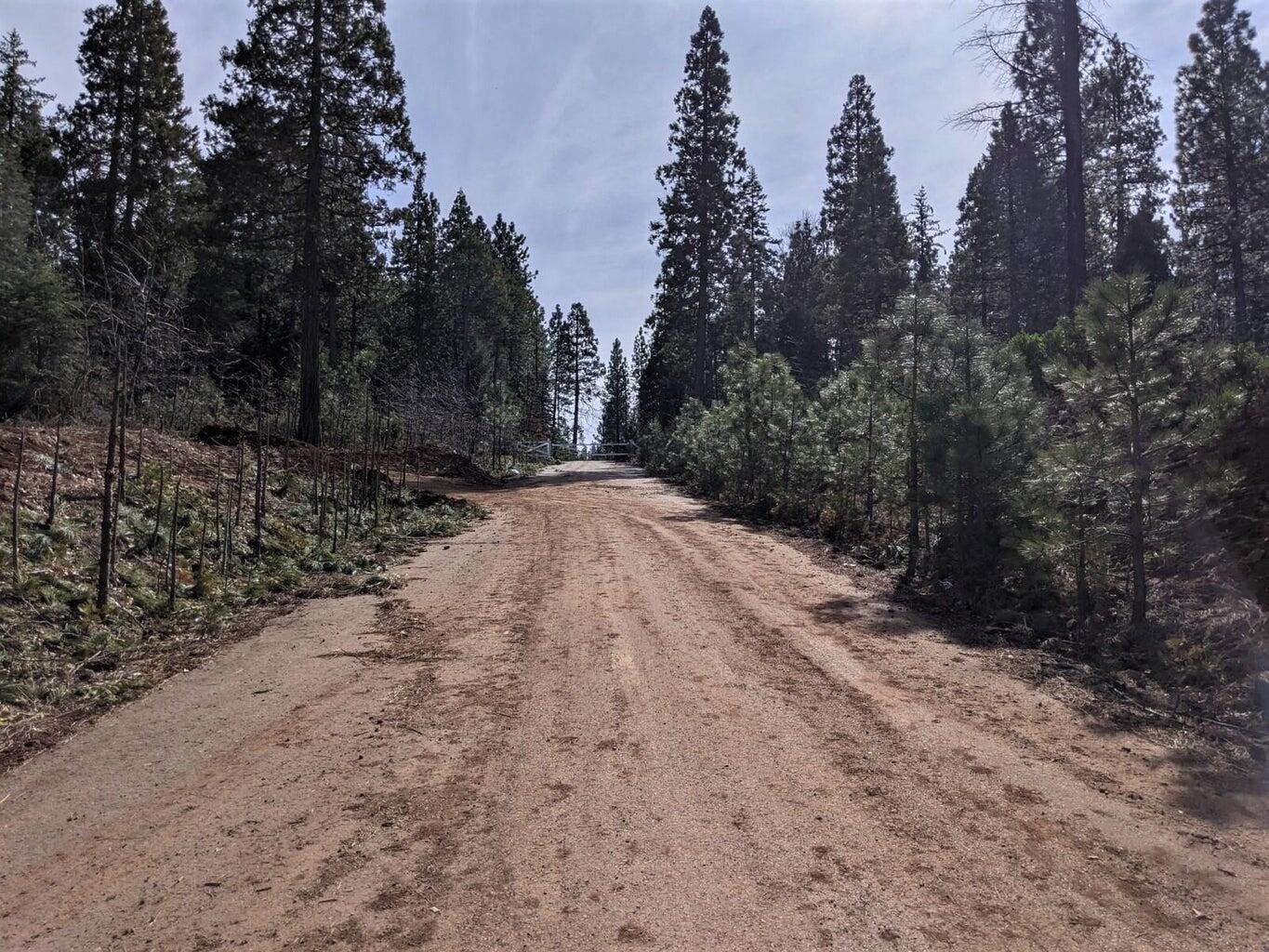 Lot 5 Waterleaf Lane Shingletown, CA 96088 - Photo 5 of 6 a view of a dirt road with trees