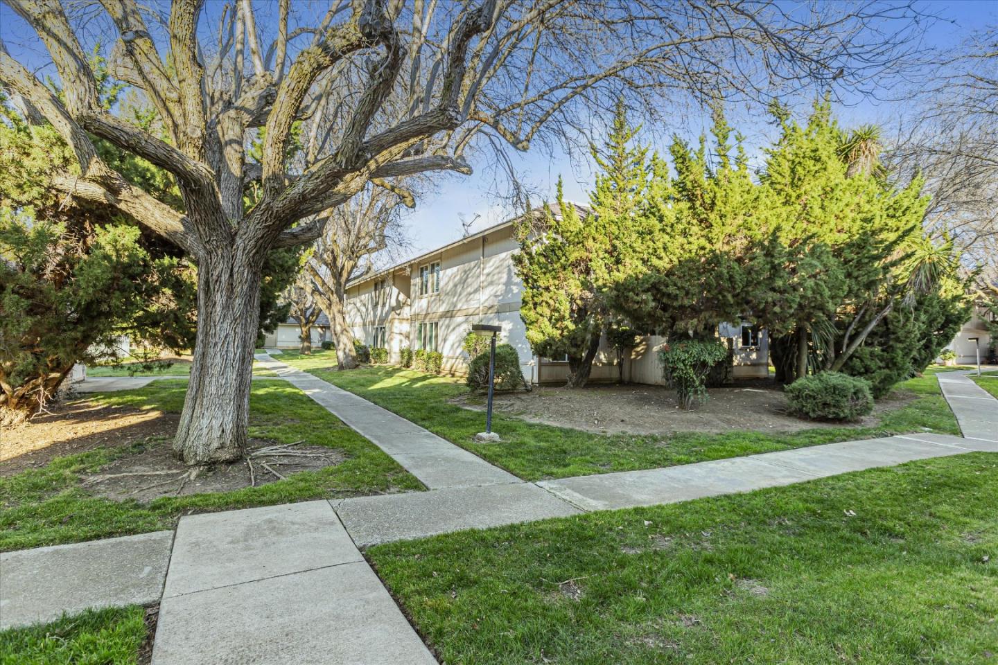 4260 Clayton Road, Unit 20 Concord, CA 94521 - Photo 33 of 35 a view of a yard with plants and trees