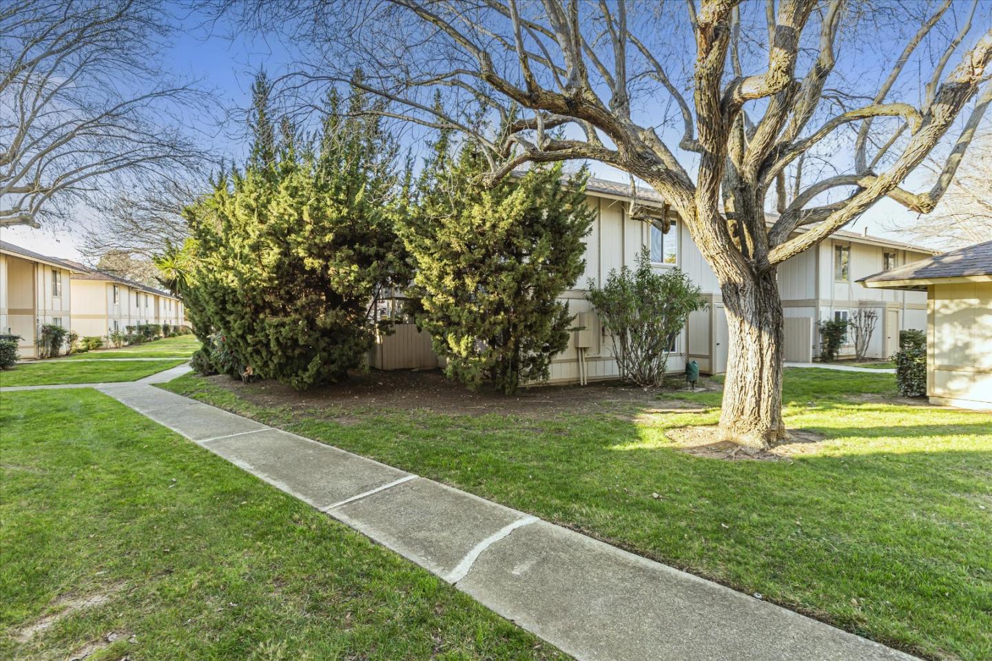 4260 Clayton Road, Unit 20 Concord, CA 94521 - Photo 34 of 35 a garden with trees