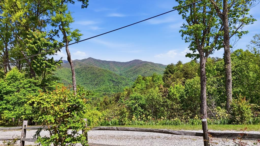 231 Ridge View Drive Andrews, NC 28901 - Photo 18 of 58