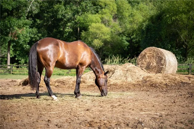 $1,670,000 | 245 Lask Lane, Milton, GA 30004