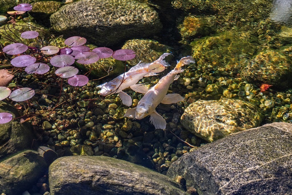 53 Yankee Circle Westfield, MA 01085 - Photo 38 of 42 a outdoor space with lots of fruit and vegetables