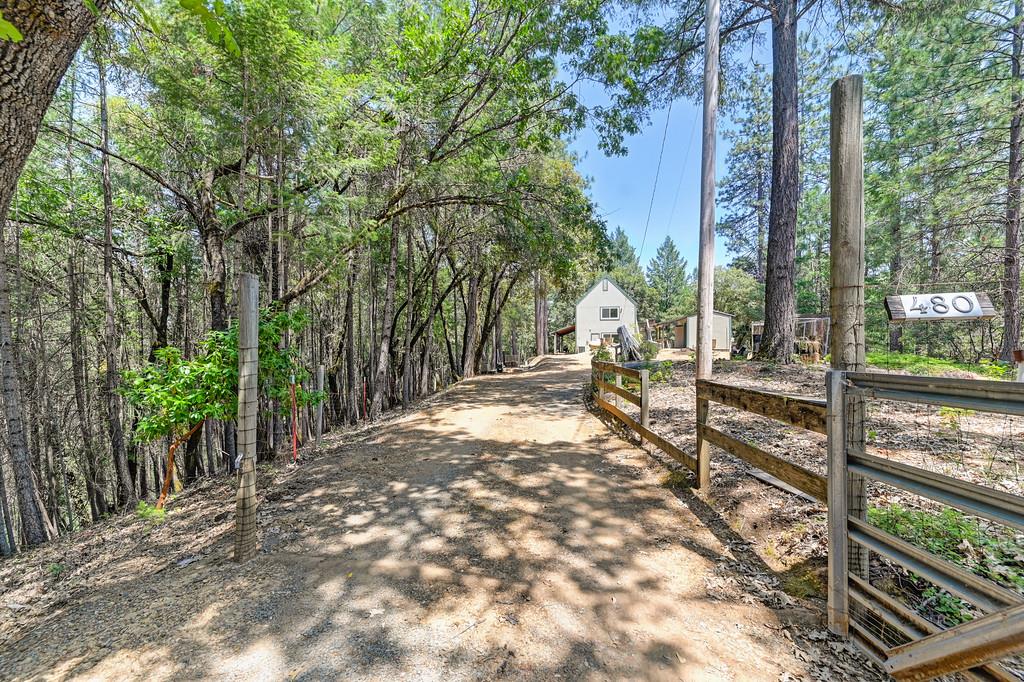480 Ridgeback Lane Colfax, CA 95713 - Photo 1 of 1 a bench is sitting in the middle of a yard
