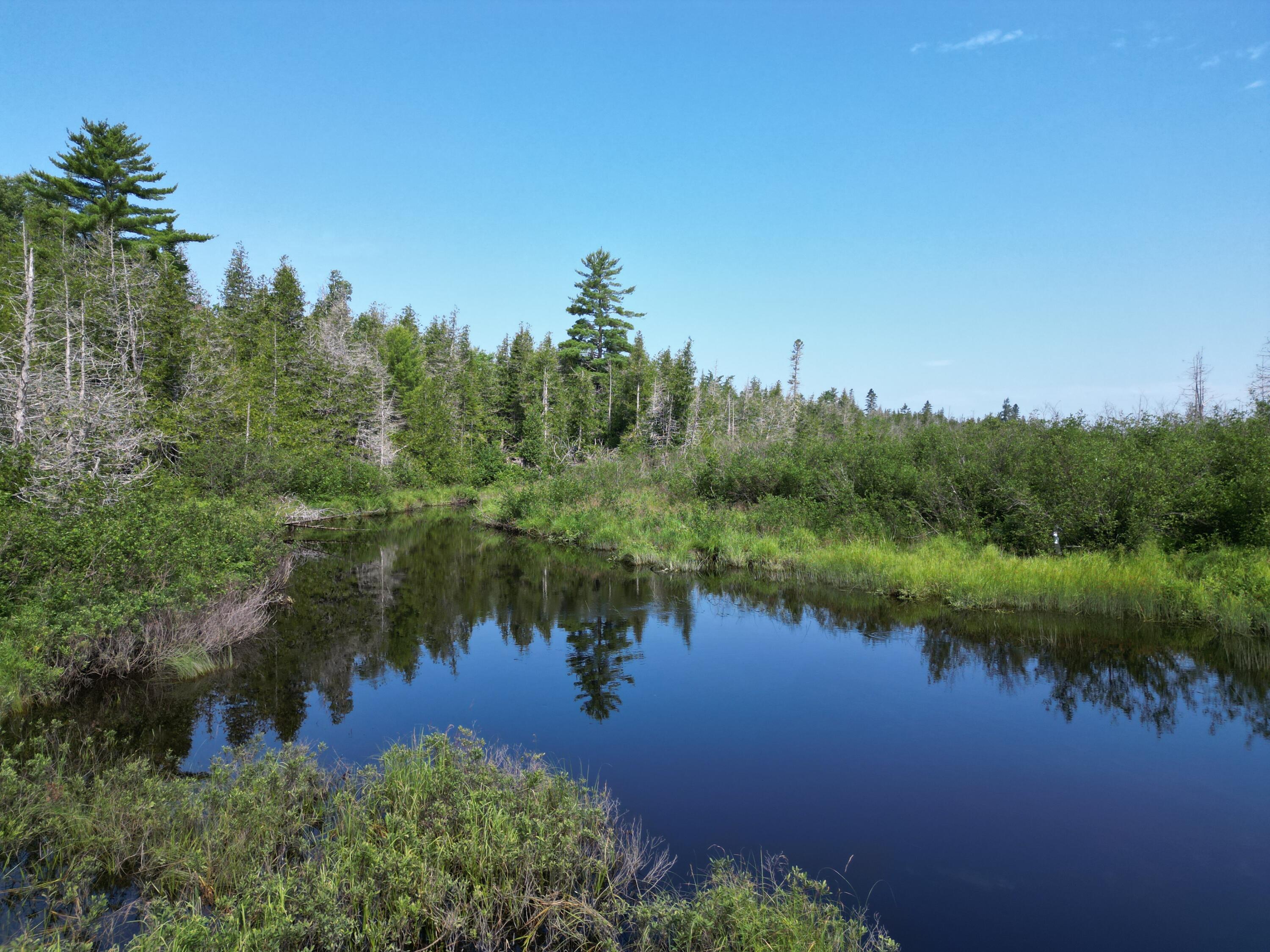 Lot 10-off Lot 10-off Town Line Road Springfield, ME 04487 - Photo 12 of 31 DJI_0945