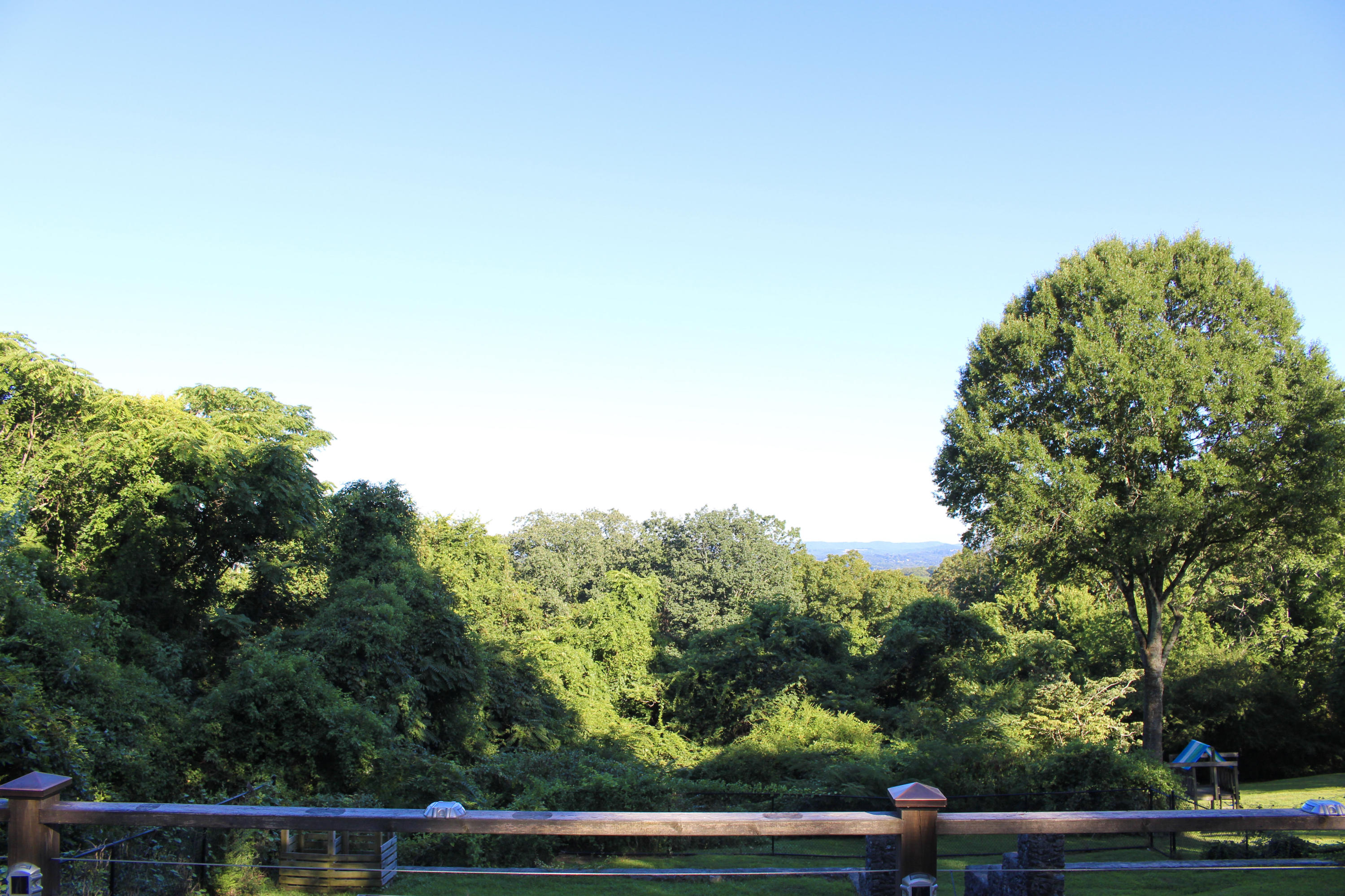 168 North Crest Road Chattanooga, TN 37404 - Photo 90 of 94 Backyard View