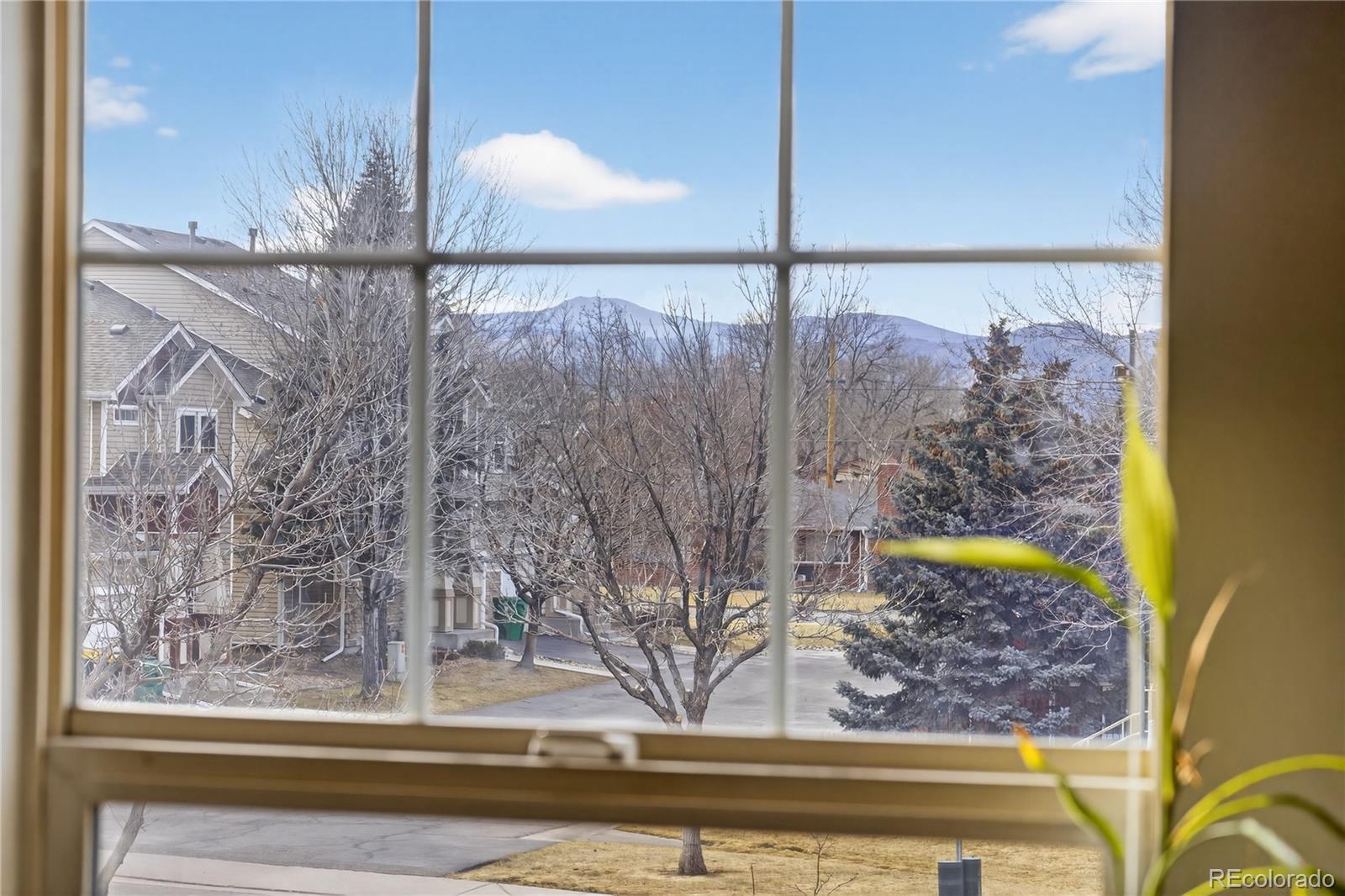 4676 Flower Street Wheat Ridge, CO 80033 - Photo 23 of 44