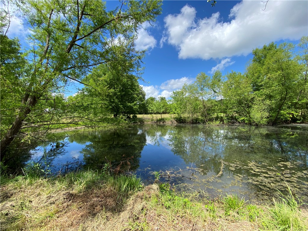 1747 Eden Hall Road Bradley, SC 29819 - Photo 29 of 41