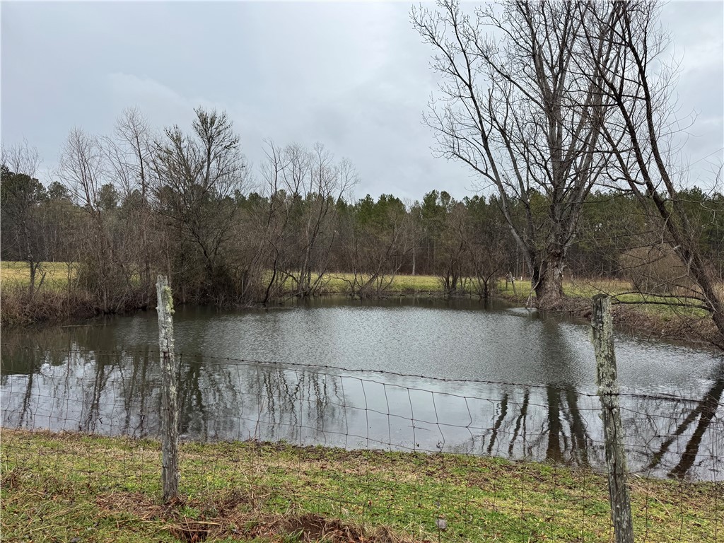 1747 Eden Hall Road Bradley, SC 29819 - Photo 39 of 41