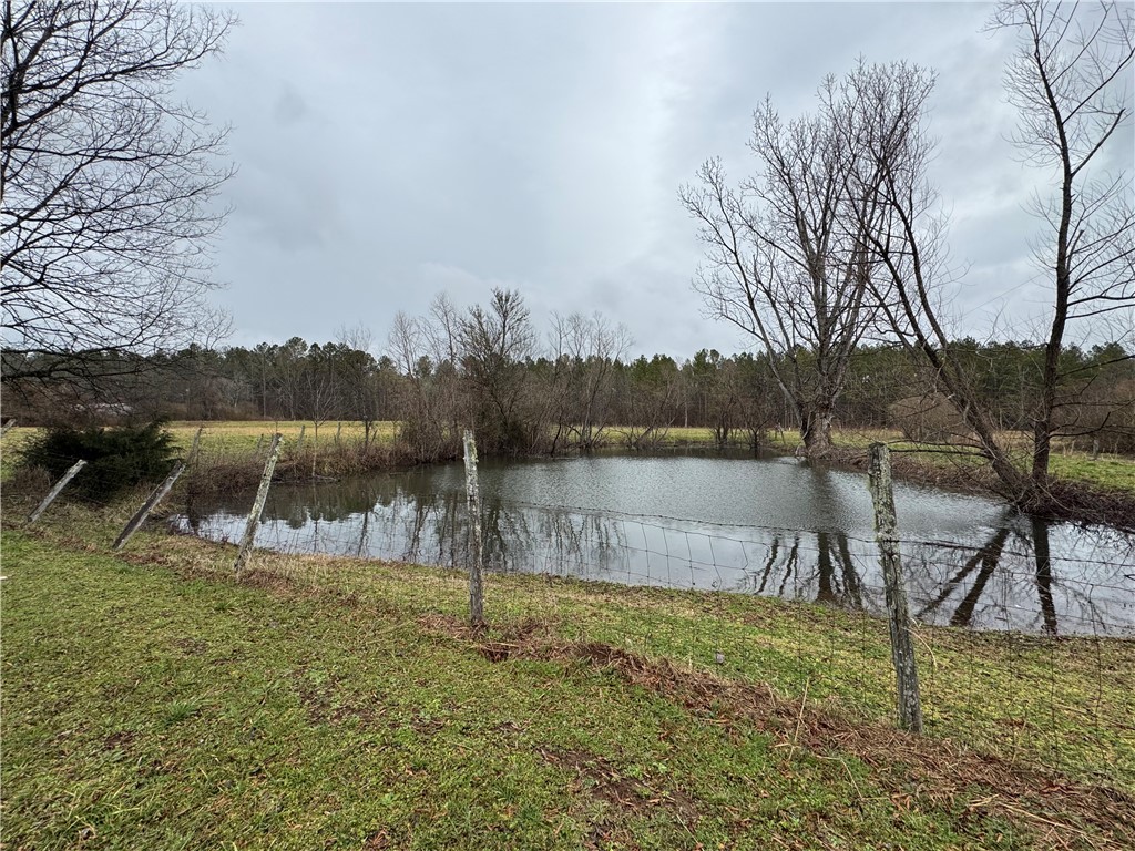 1747 Eden Hall Road Bradley, SC 29819 - Photo 40 of 41