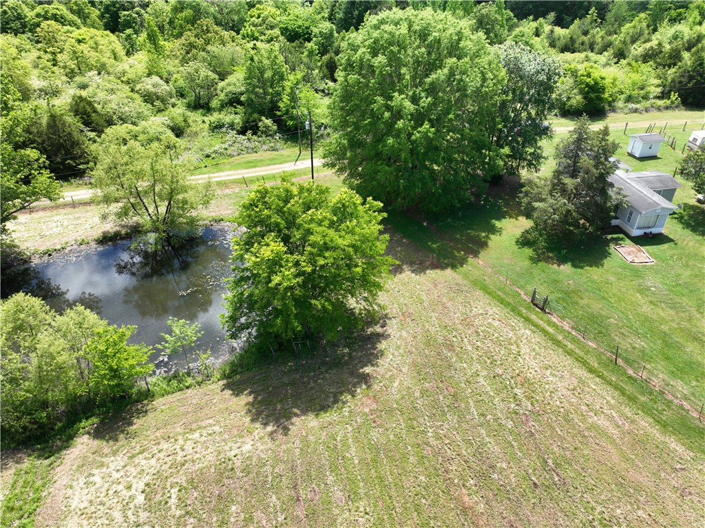 1747 Eden Hall Road Bradley, SC 29819 - Photo 6 of 41