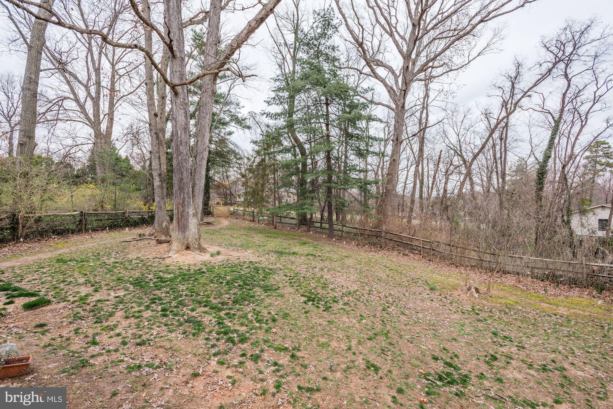 1401 Earnshaw Court Reston, VA 20190 - Photo 36 of 49 Backyard View