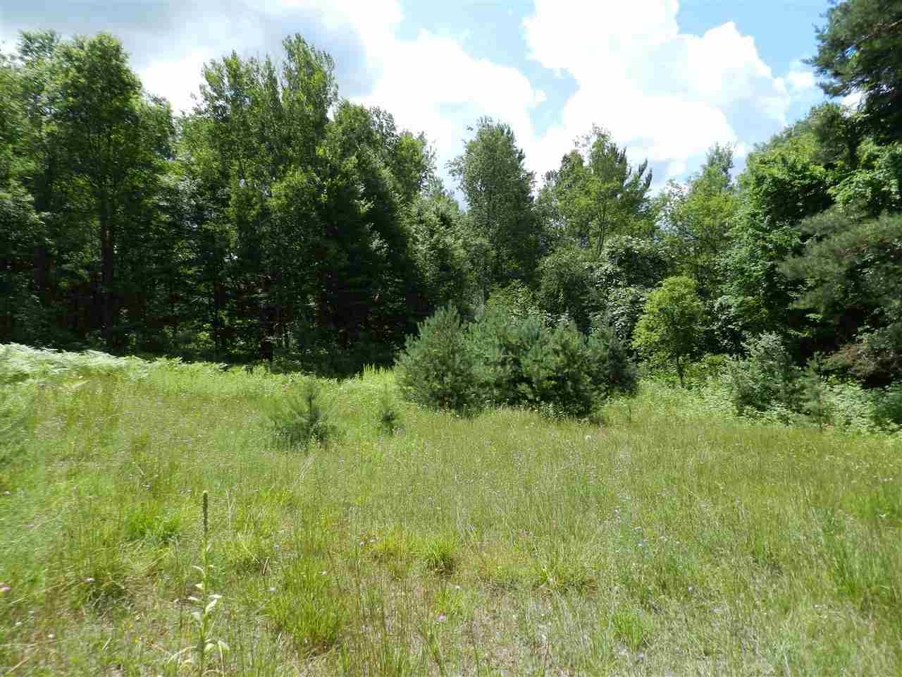 7529 Blue Road Southwest Fife Lake, MI 49633 - Photo 5 of 62 1865960-4.JPG