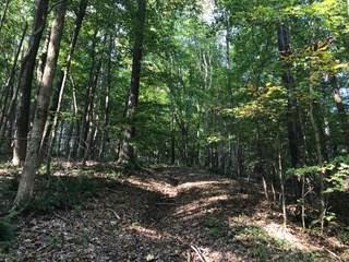 5682 Chardin Road Poland, IN 47868 - Photo 4 of 8