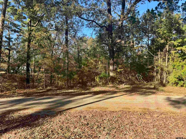 $115,000 | 7560 Forest Hills Drive, Frankston, TX 75763