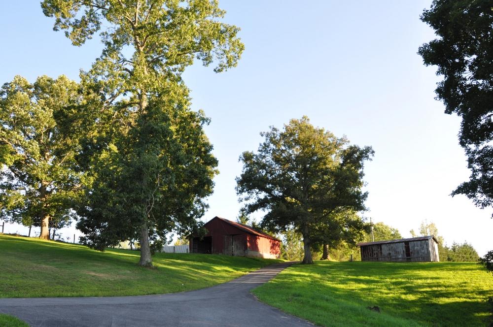154 Garner Road Frankford, WV 24938 - Photo 5 of 73 Gallery Image 5